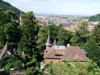 Blick vom Garten auf Heidelberg