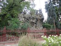 Überreste einer Baumwurzel, Bad Dürkheim