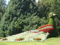Insel Mainau_Impress._1