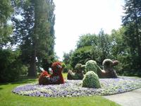 Insel Mainau_Impress._2