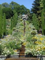 Insel Mainau_Impress._3