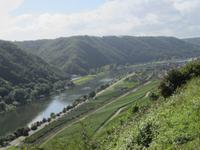 Moselblick