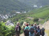 Rücktour nach Karden