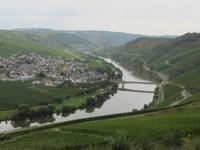 Blick auf Trittenheim