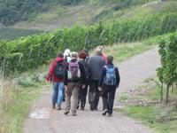 Weg nach Trittenheim