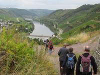 Weg nach Trittenheim