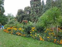 Auf der Blumeninsel, eine Blütenpracht