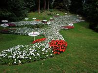 Blumenrabatte mit Darstellung des Bodensees