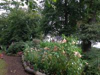 Der Park der Insel in vielfältiger Form