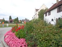 Blumen und Pflanzenpracht in Münsternähe