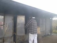 hier wird Fisch geräuchert