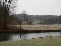 Silvester-Spaziergang entlang der Wiesent...