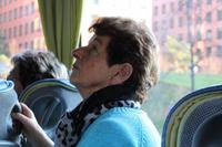 Stadtrundfahrt in Berlin