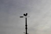 Wetterhahn in Diedersdorf