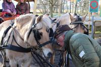 Nach der Kremserfahrt 