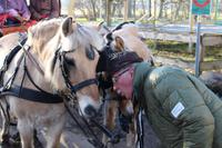 Nach der Kremserfahrt 