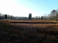 Heidegarten von Schneverdingen