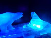 Eisbär und Seelöwe