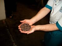 Besuch der Landräucherei