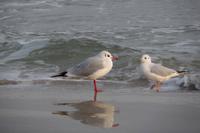 Die Ruhe nach dem Knall!!!