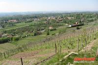 Rast mit Blick auf den Weinberg