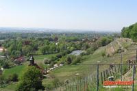 Ausblick auf den Weinberg