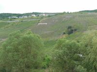 Weinhänge an Mosel