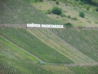 Weinhänge an Mosel