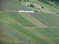 Weinhänge an Mosel