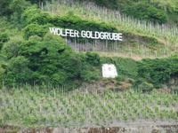 Weinhänge an Mosel