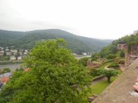 Blick auf Heidelberg