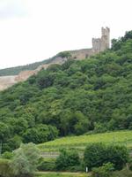 Schifffahrt auf Rhein