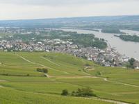 Blick vom Niederwalddenkmal