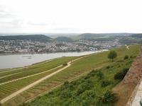 Blick vom Niederwalddenkmal