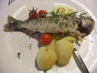 Am Abend gab es Kräuterforelle