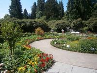 Blumenpracht, wie immer