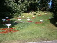 Der Bodensee in Form eines Blumenbeetes