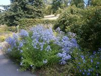 an den Wegen sind viele Farben zu sehen