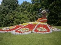 Ein Pfau aus Blumen, ein Meisterwerk der Gärtner