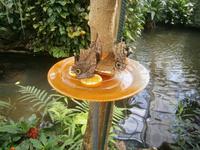 Fütterung der Tiere