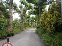 Das Arboretum am Weg zum Schloß