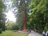 Ein anderes Exemplar