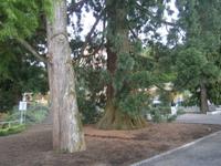 Auf dem Weg zum Hafen