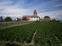 Insel Reichenau, Niederzell, Kirche St. Peter und Paul