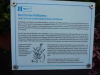 so ist es &ndash; &copy; Petra Scherbaum (Eberhardt TRAVEL)
