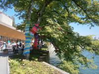Insel Mainau, angekleidete Bäume