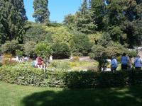 Bei der Blumenuhr nach Linne´