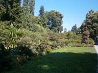 Schöne grüne Bereiche