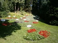 Der Bodensee mit Blumen nachgezeichnet