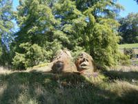 Gesichter aus Stein und Moos